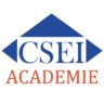 CSEI